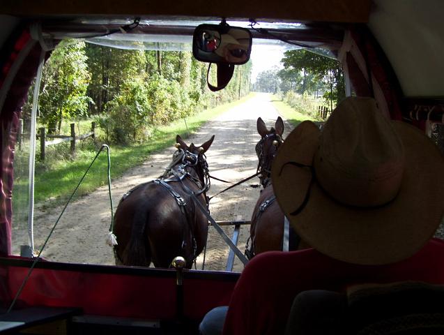 17-Mules & Wagon.jpg